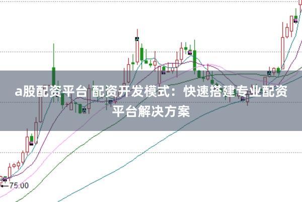 a股配资平台 配资开发模式：快速搭建专业配资平台解决方案