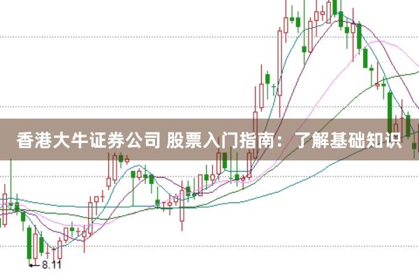 香港大牛证券公司 股票入门指南：了解基础知识