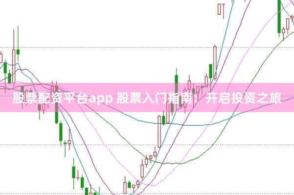 股票配资平台app 股票入门指南：开启投资之旅
