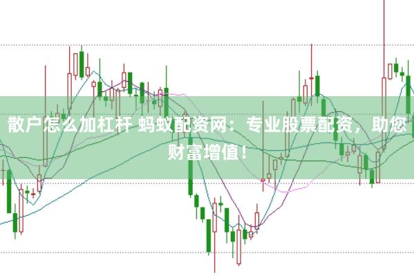 散户怎么加杠杆 蚂蚁配资网：专业股票配资，助您财富增值！
