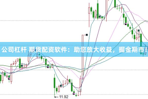 公司杠杆 期货配资软件：助您放大收益，掘金期市！
