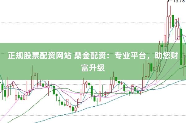 正规股票配资网站 鼎金配资：专业平台，助您财富升级