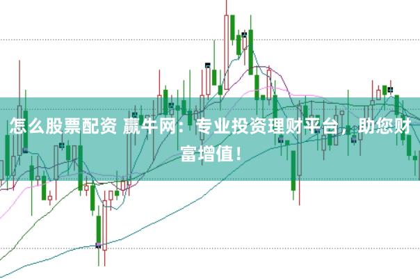 怎么股票配资 赢牛网：专业投资理财平台，助您财富增值！
