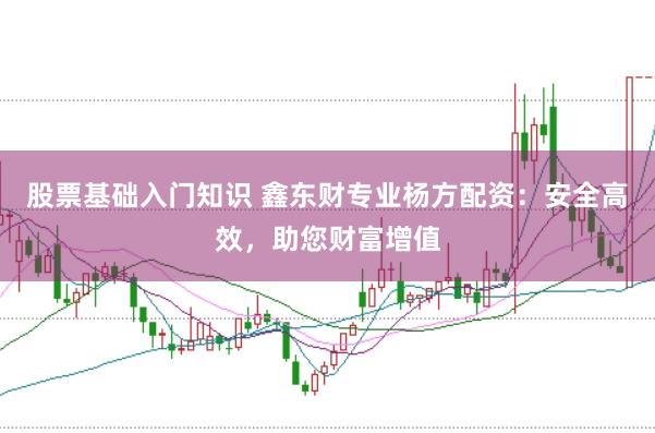 股票基础入门知识 鑫东财专业杨方配资：安全高效，助您财富增值