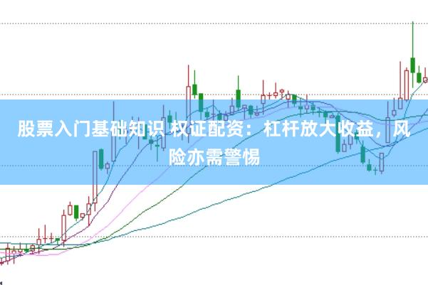 股票入门基础知识 权证配资：杠杆放大收益，风险亦需警惕