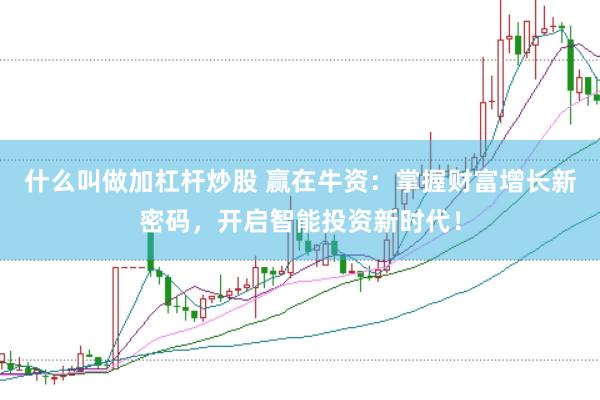 什么叫做加杠杆炒股 赢在牛资：掌握财富增长新密码，开启智能投资新时代！