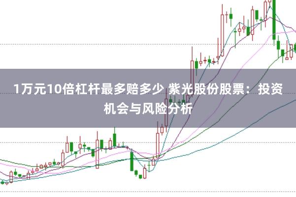 1万元10倍杠杆最多赔多少 紫光股份股票：投资机会与风险分析