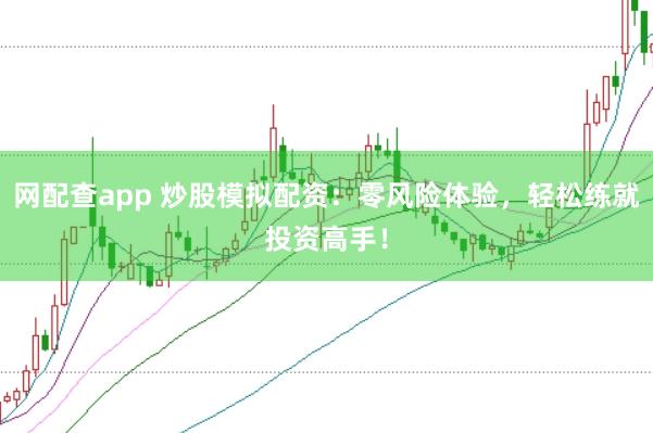 网配查app 炒股模拟配资：零风险体验，轻松练就投资高手！