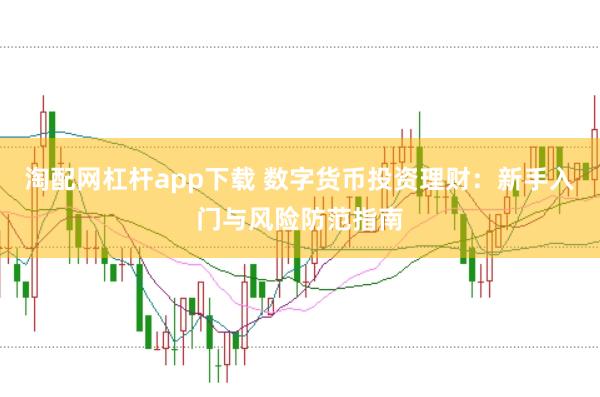 淘配网杠杆app下载 数字货币投资理财：新手入门与风险防范指南
