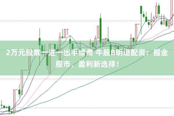 2万元股票一进一出手续费 牛股B明道配资：掘金股市，盈利新选择！