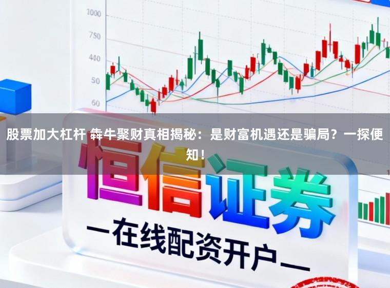 股票加大杠杆 犇牛聚财真相揭秘:是财富机遇还是骗局?一探便知!