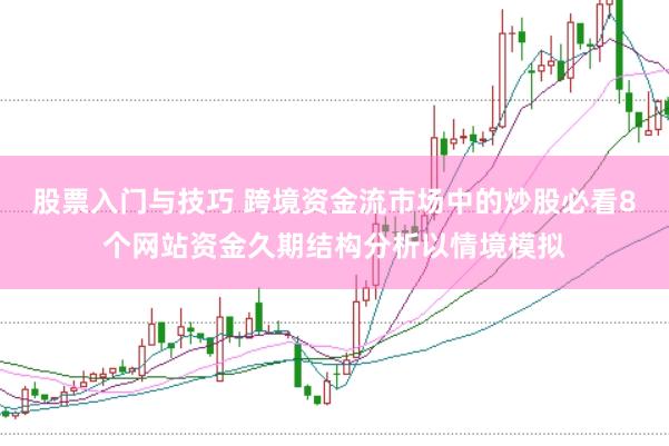 股票入门与技巧 跨境资金流市场中的炒股必看8个网站资金久期结构分析以情境模拟