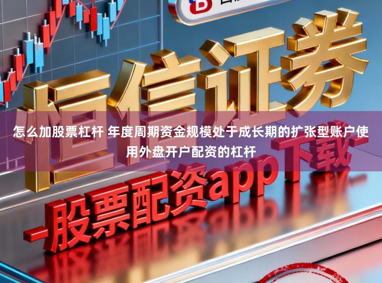 怎么加股票杠杆 年度周期资金规模处于成长期的扩张型账户使用外盘开户配资的杠杆