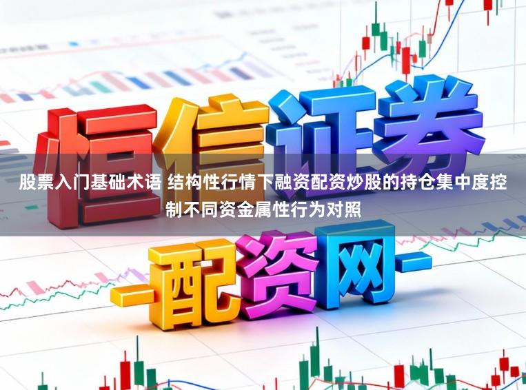 股票入门基础术语 结构性行情下融资配资炒股的持仓集中度控制不同资金属性行为对照